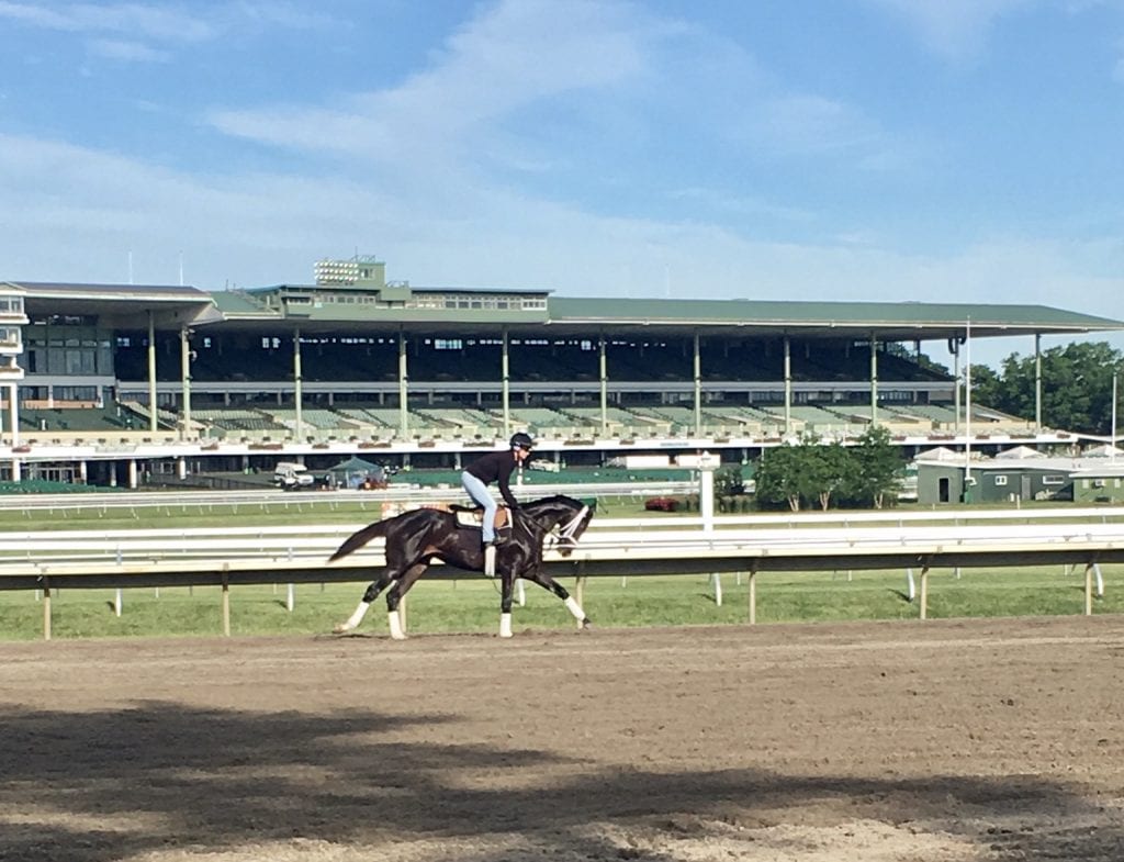 Haskell Stables....ASSEMBLE ! StableDuel