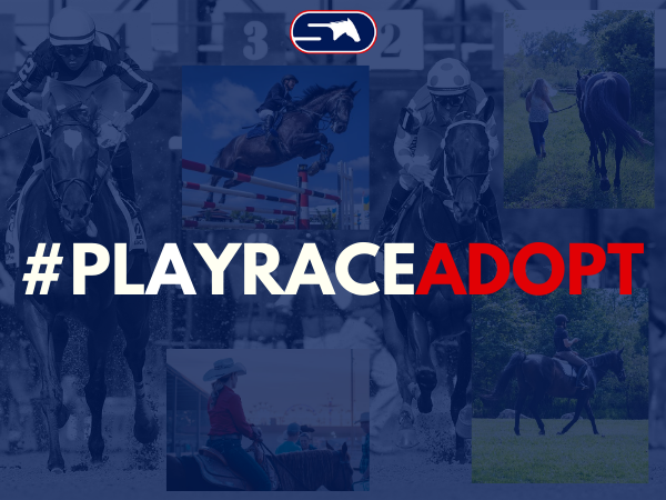 #PlayRaceAdopt