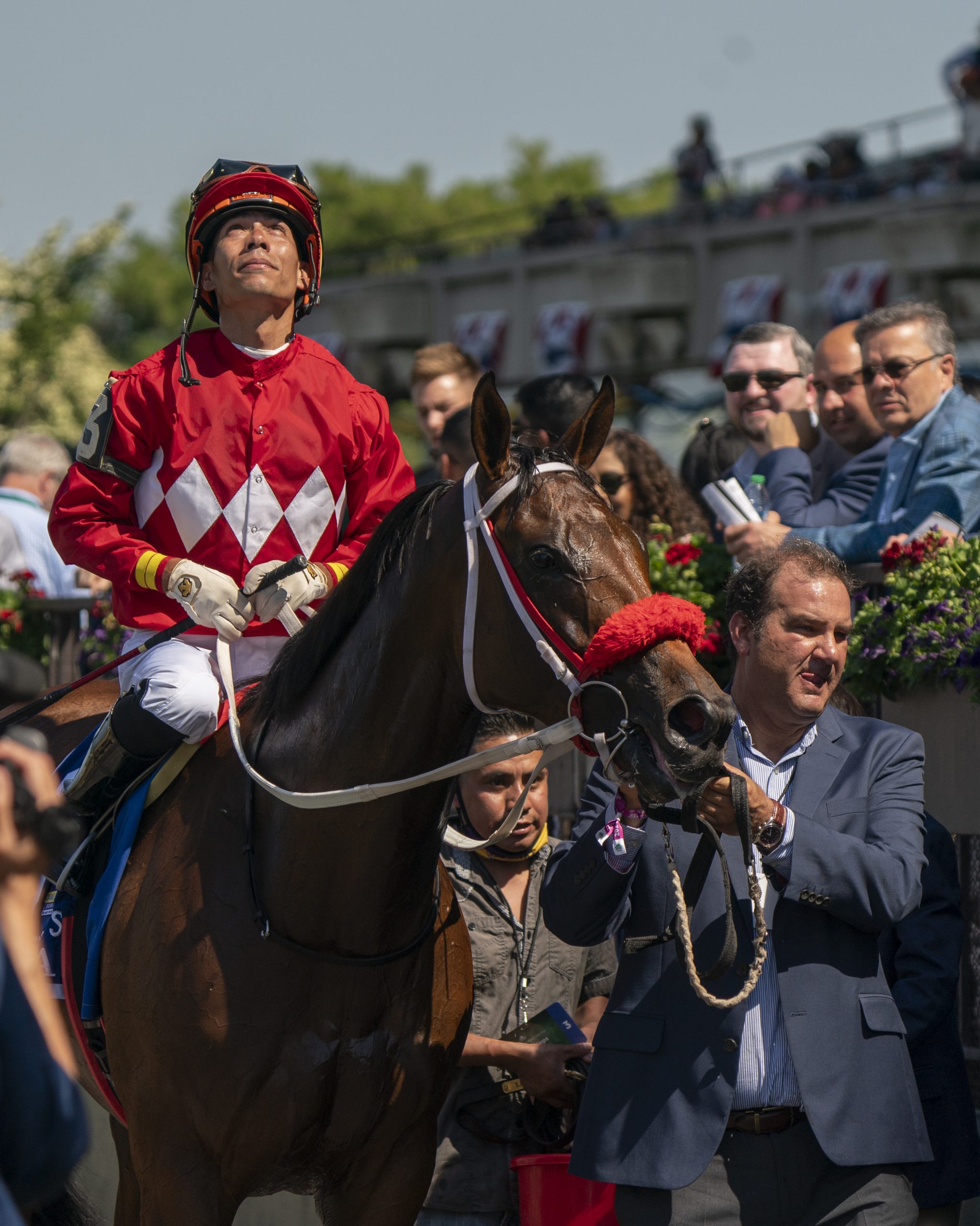 Woodbine 720 Picks StableDuel