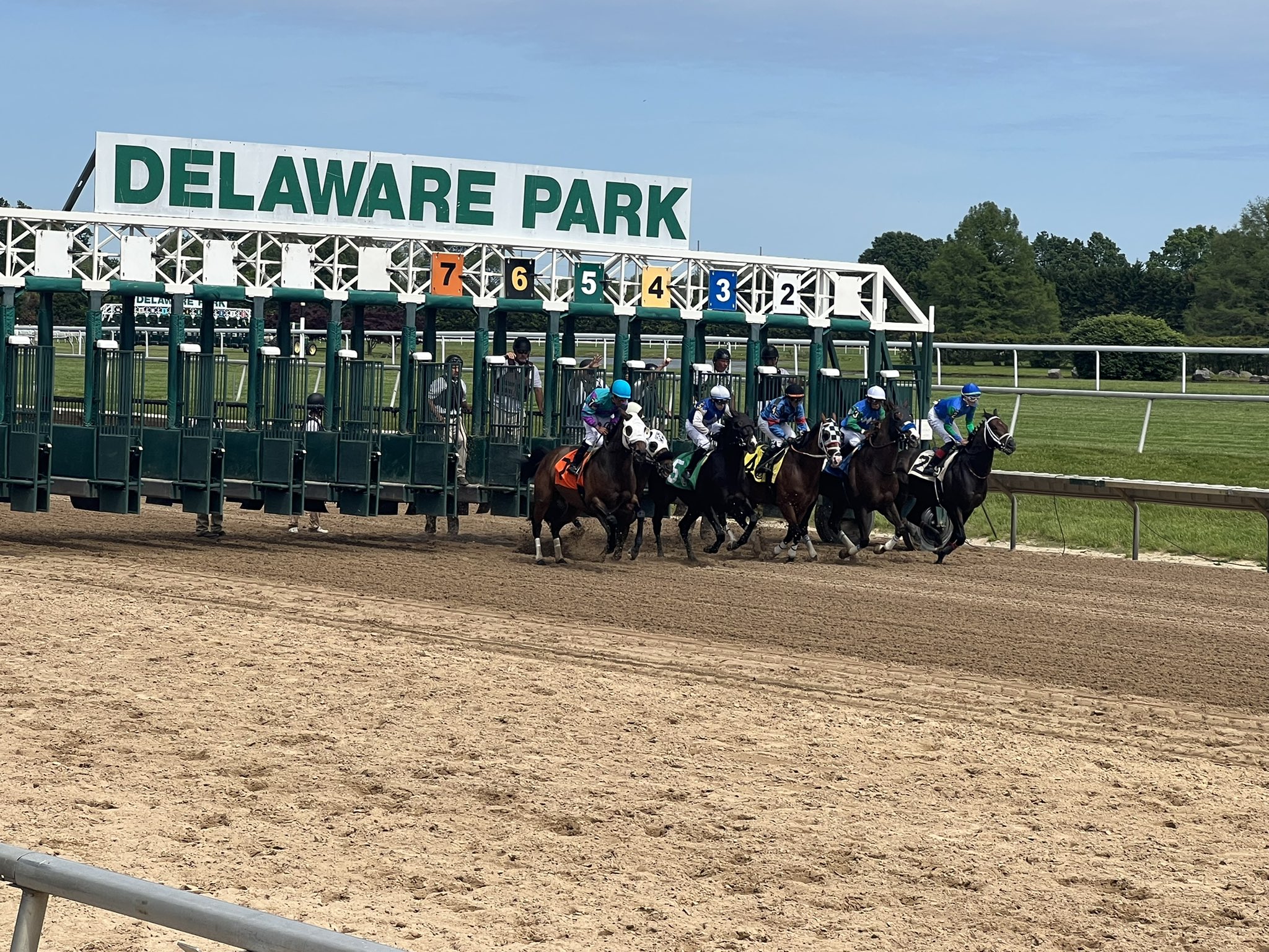 Introducing Delaware Park StableDuel