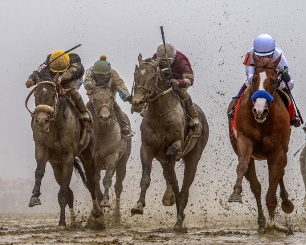 Preakness Stakes 2022