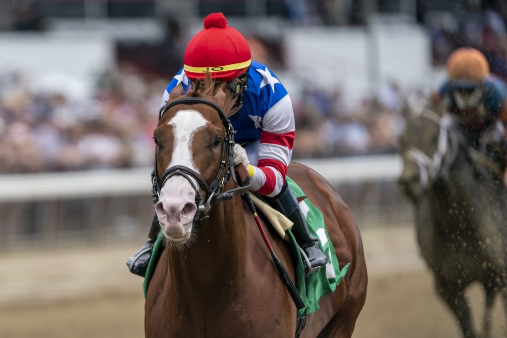 Haskell Horse Race 2024 Live Perle Terrijo