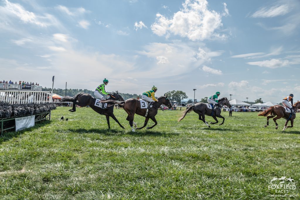 Leap into Excitement: The Thrilling Season of Steeplechase Racing