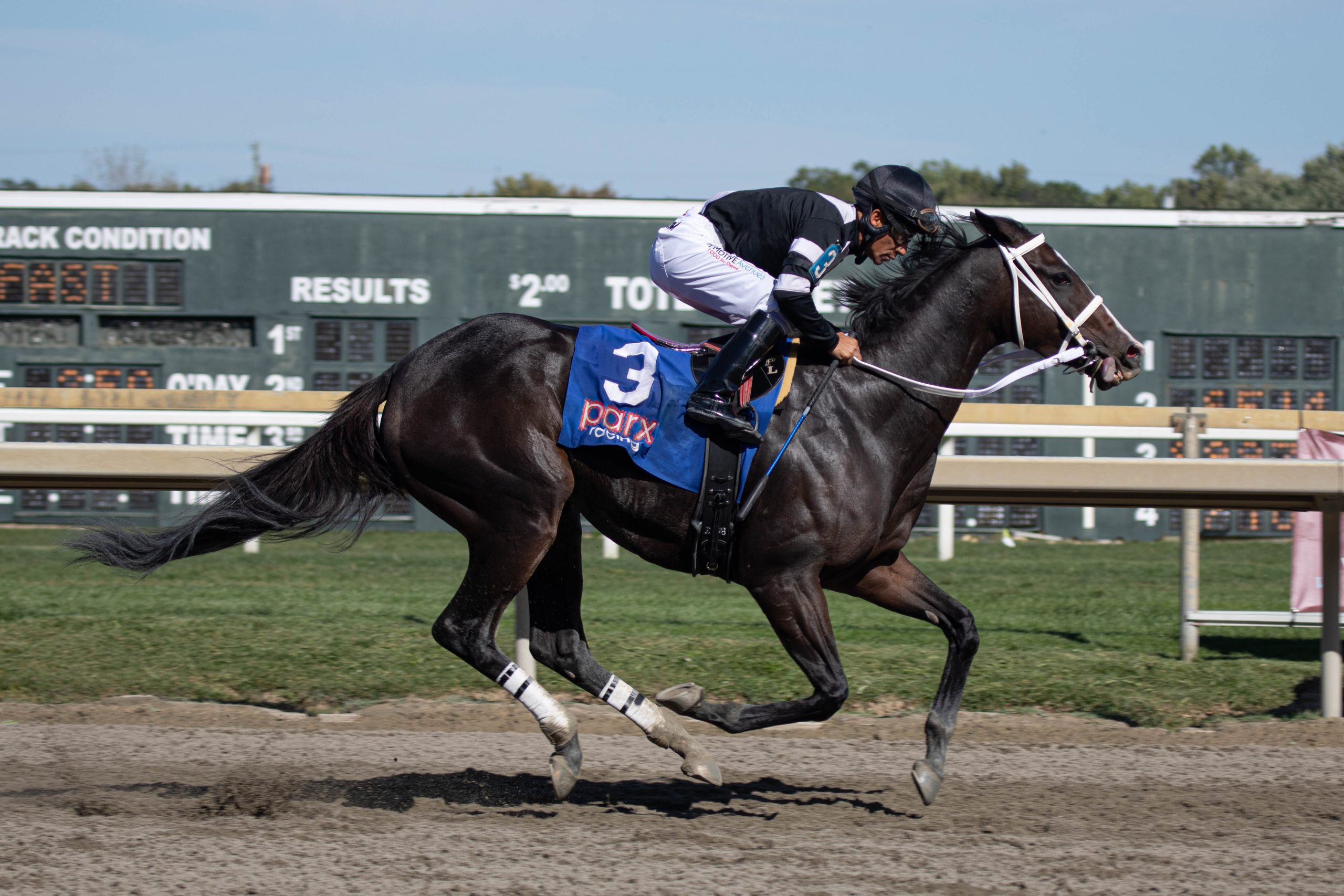Parx Madness StableDuel Parx Madness StableDuel