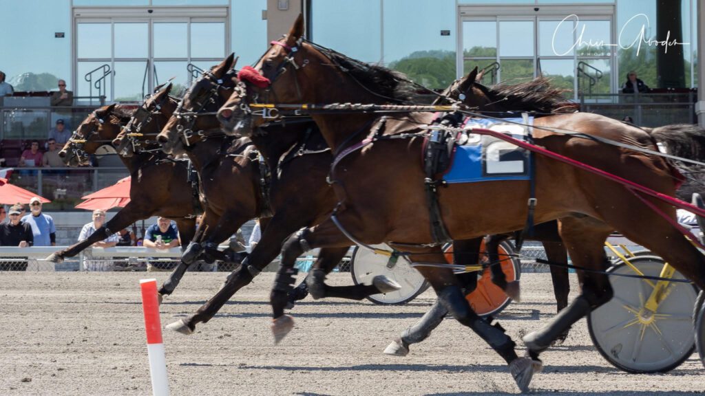 Harness Racing Now Offered In StableDuel