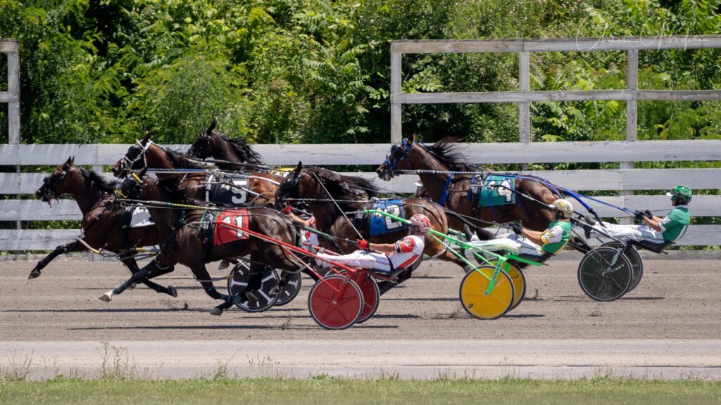 Harness Racing: A Brief History and Long Introduction