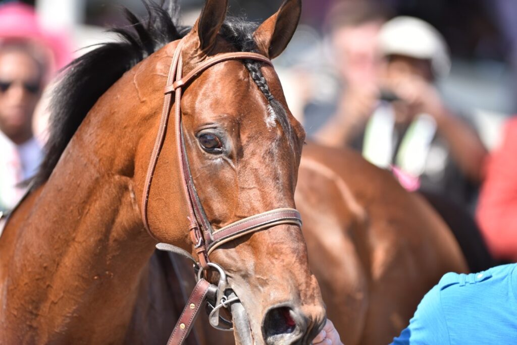 Del Mar Friday 9-1 StableDuel Plays