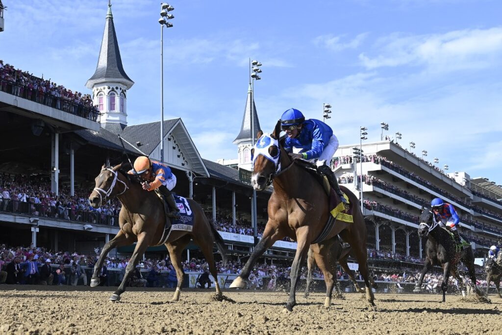 Cotillion Stakes StableDuel