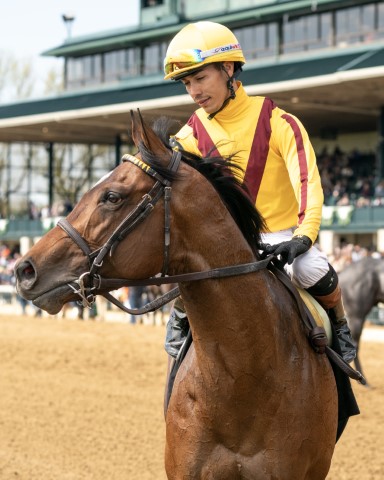 Keeneland Plays for Saturday 4/13